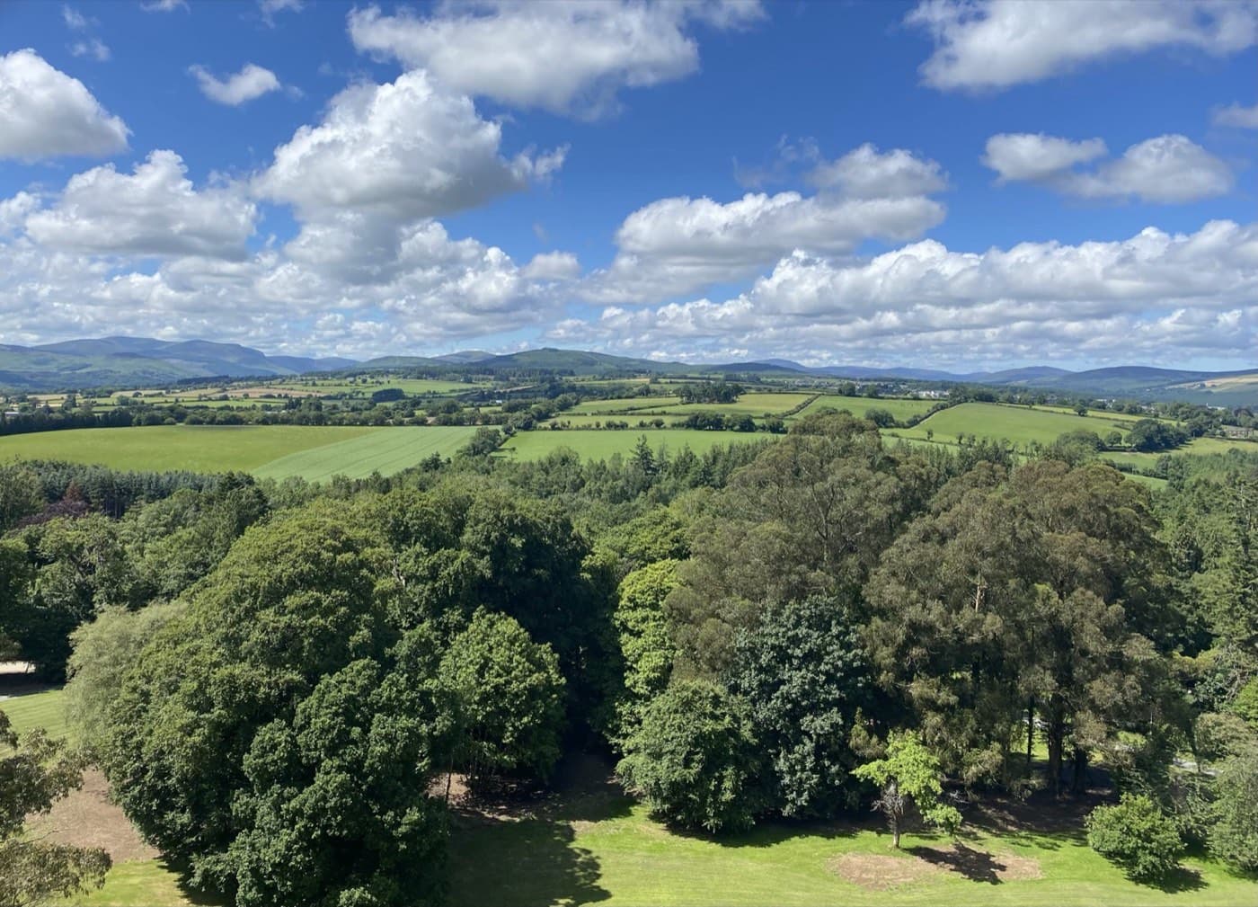 View from treetop walk--2024