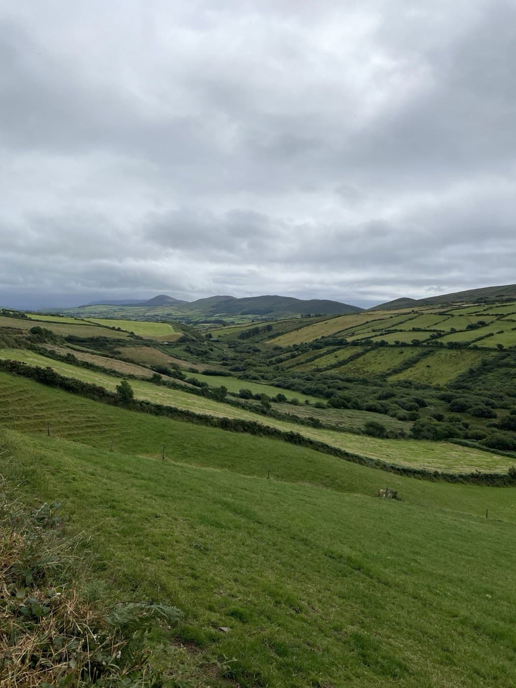 View on Dingle--2024