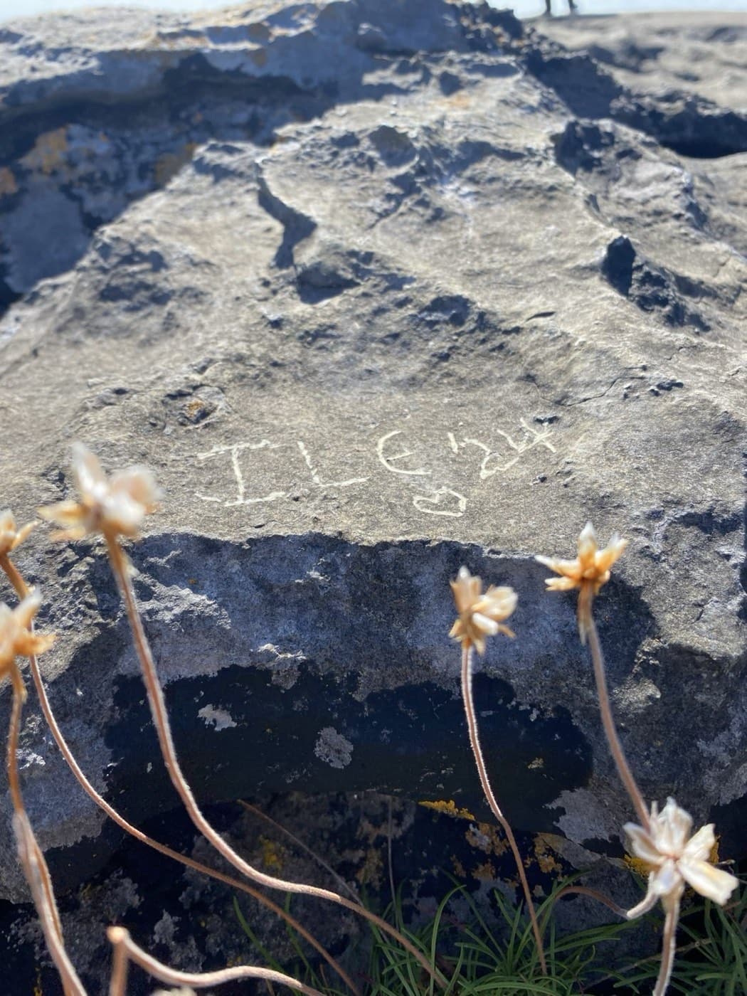 ILE24 rock--2024