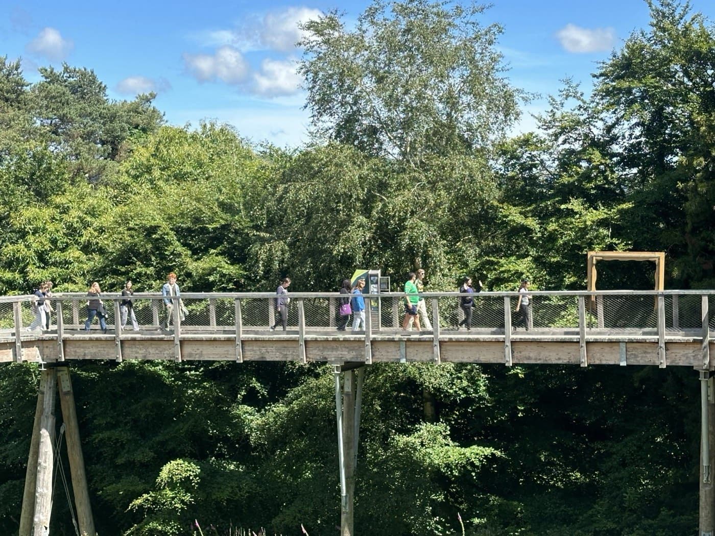 Treetop Walk Group--2024