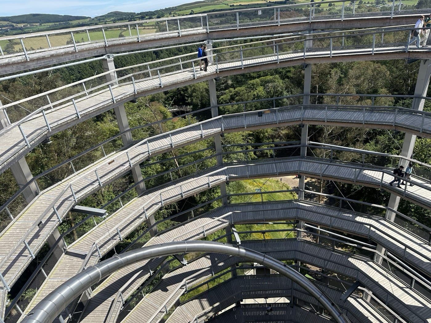 Treetop Walk--2024